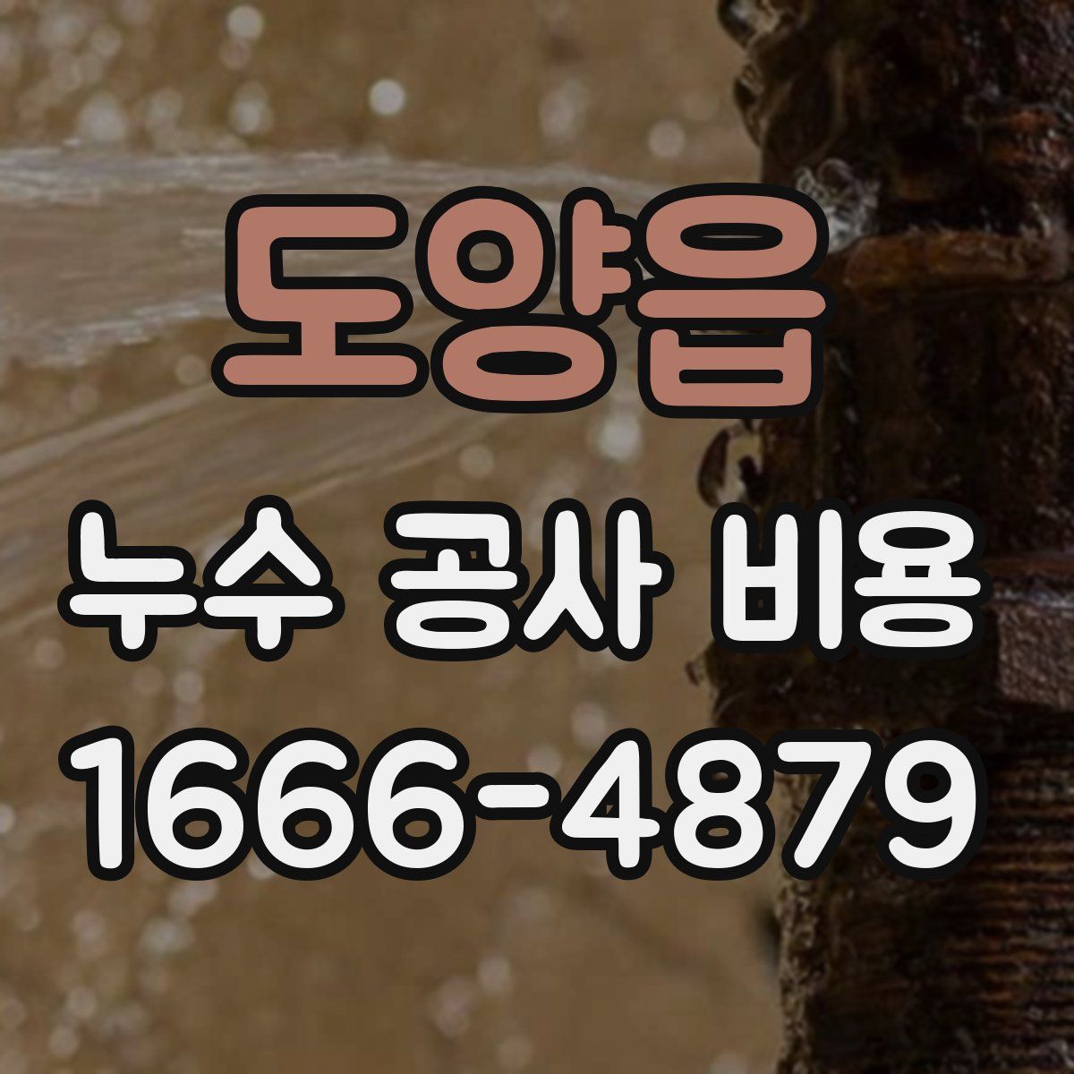 도양읍 누수 공사 비용