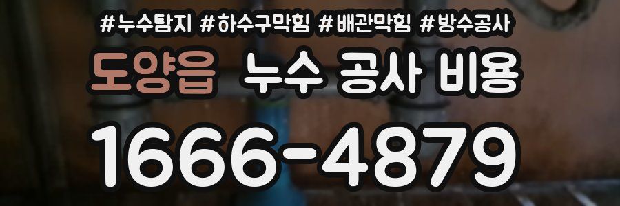 도양읍 누수 공사 비용