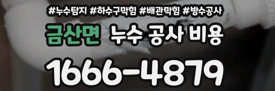 금산면 누수 공사 비용