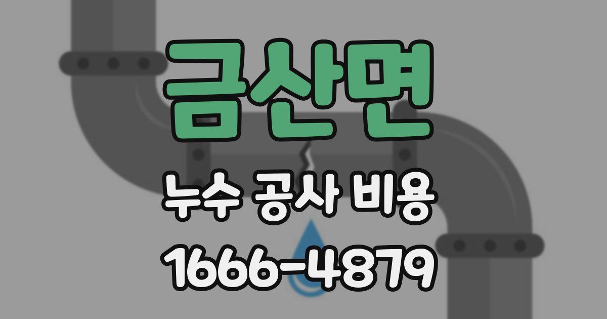 금산면 누수 공사 비용