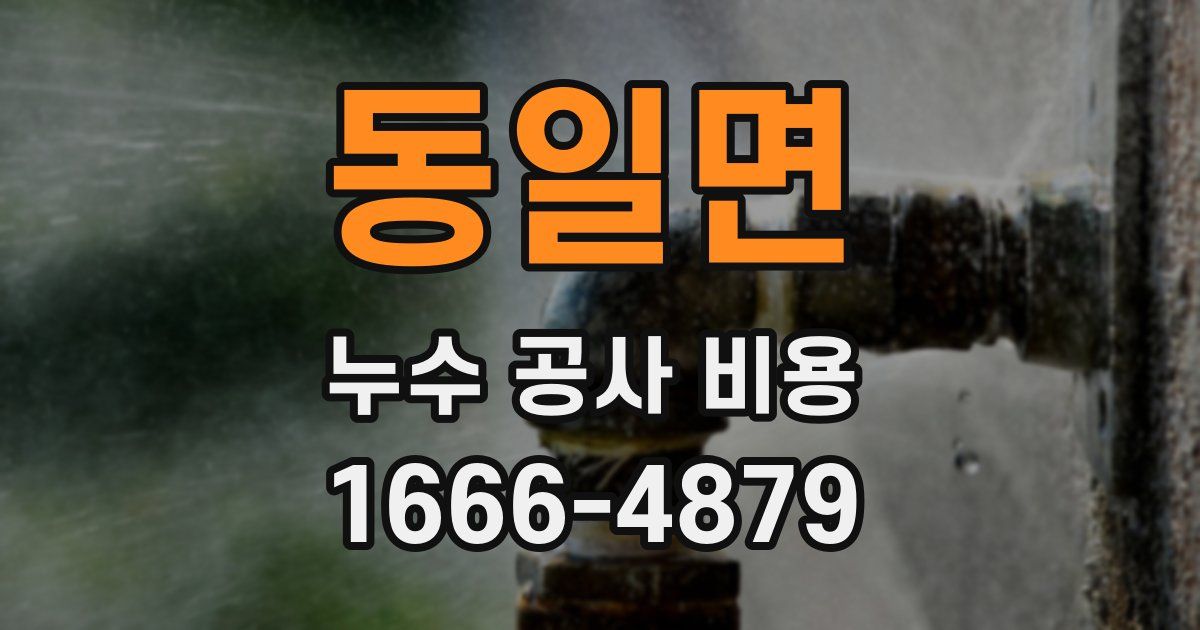 동일면 누수 공사 비용