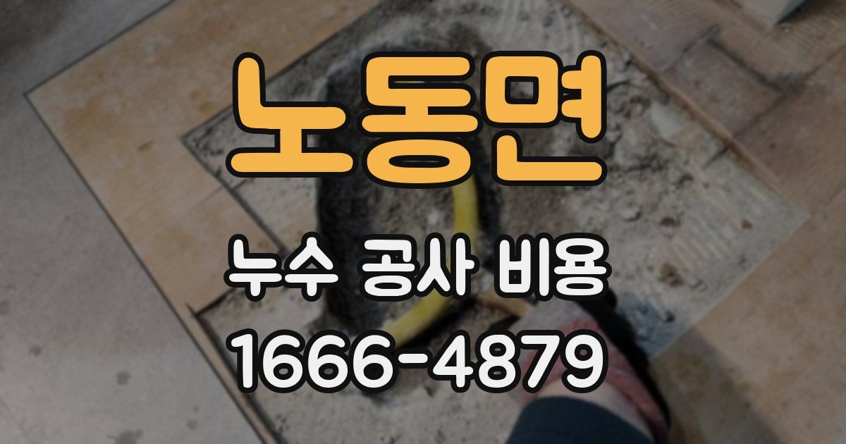 노동면 누수 공사 비용