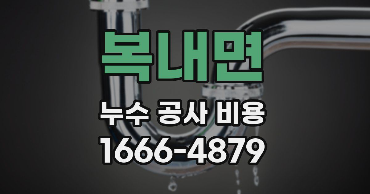 복내면 누수 공사 비용