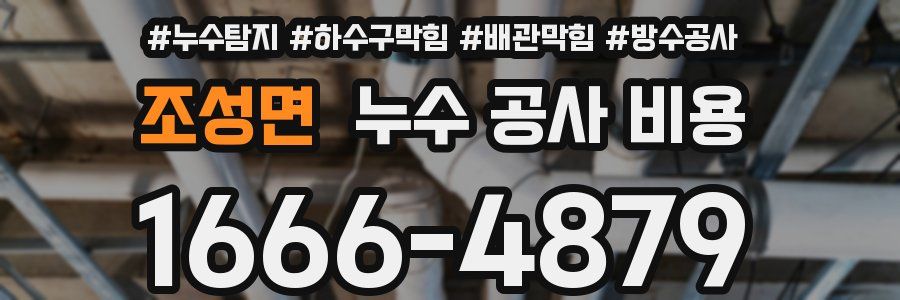 조성면 누수 공사 비용