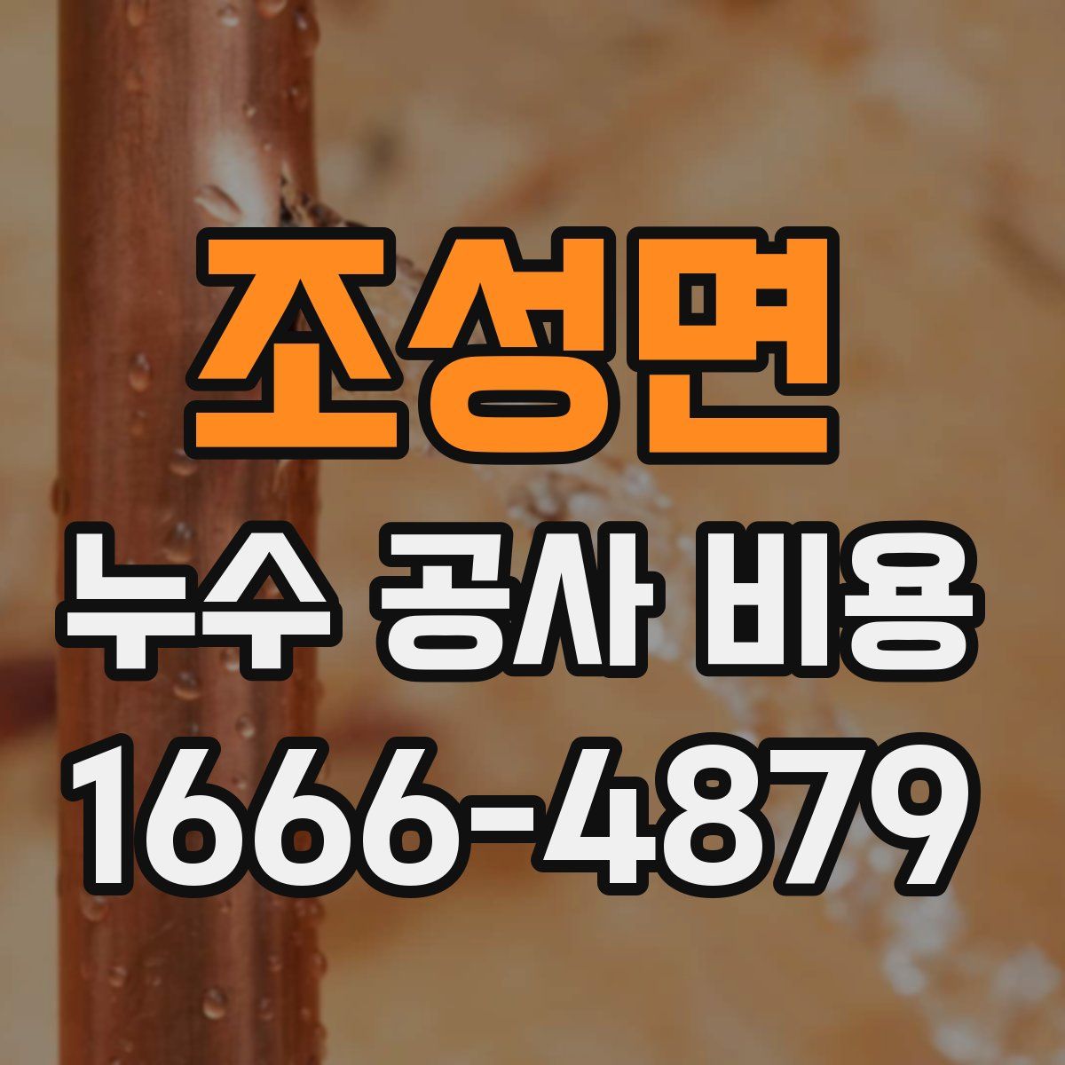 조성면 누수 공사 비용