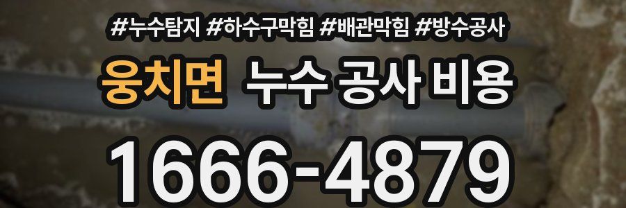 웅치면 누수 공사 비용