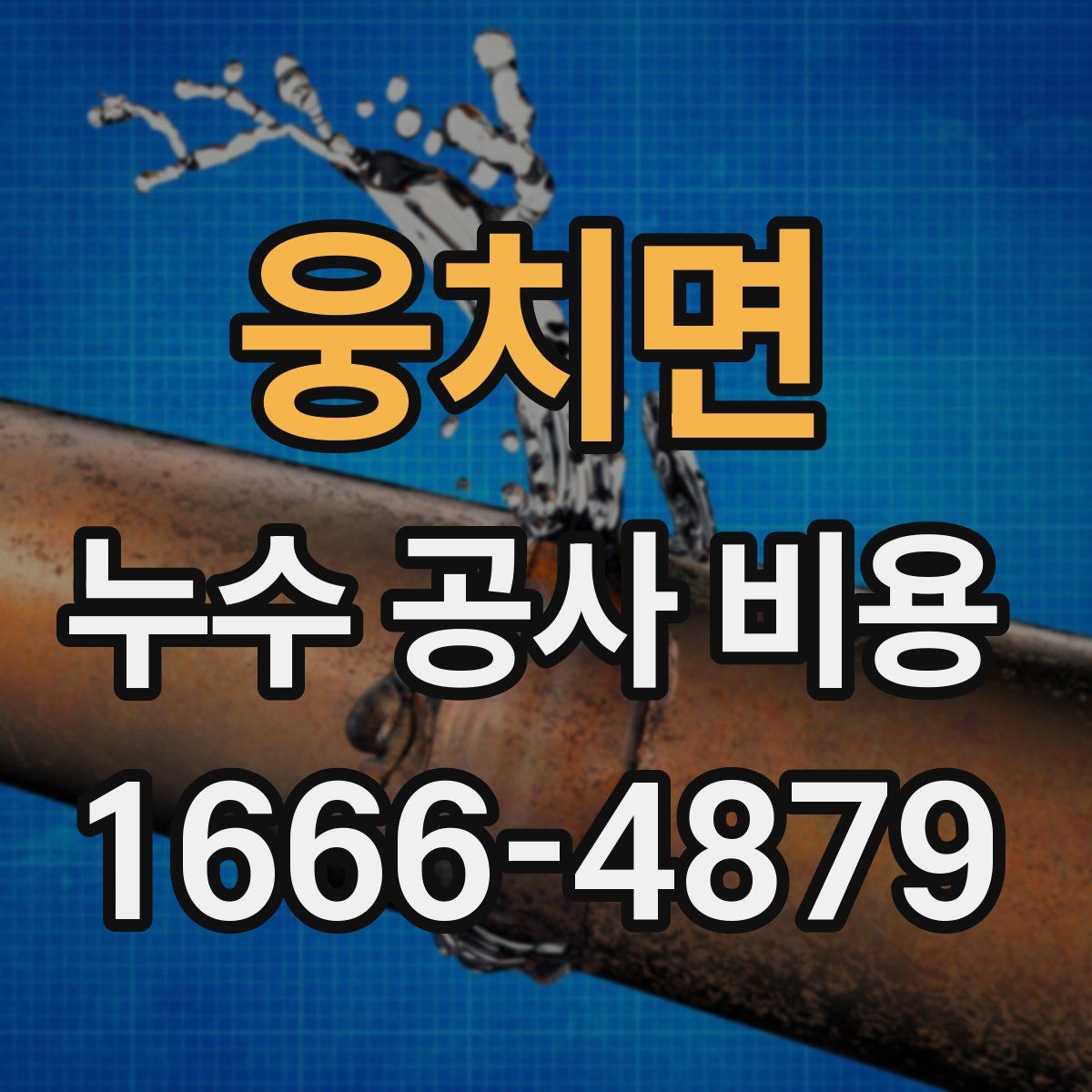 웅치면 누수 공사 비용