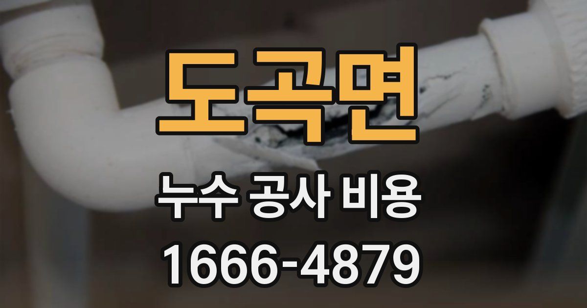 도곡면 누수 공사 비용