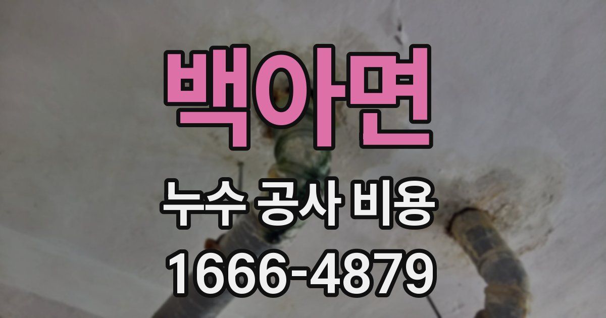 백아면 누수 공사 비용