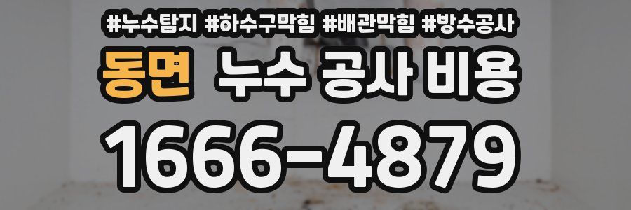 동면 누수 공사 비용