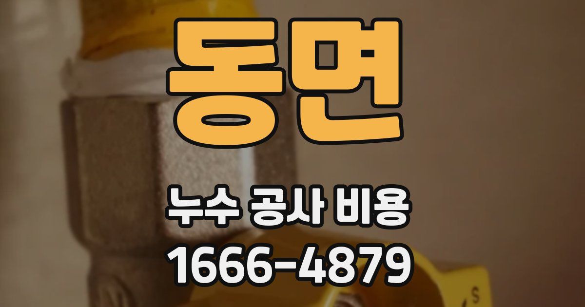 동면 누수 공사 비용