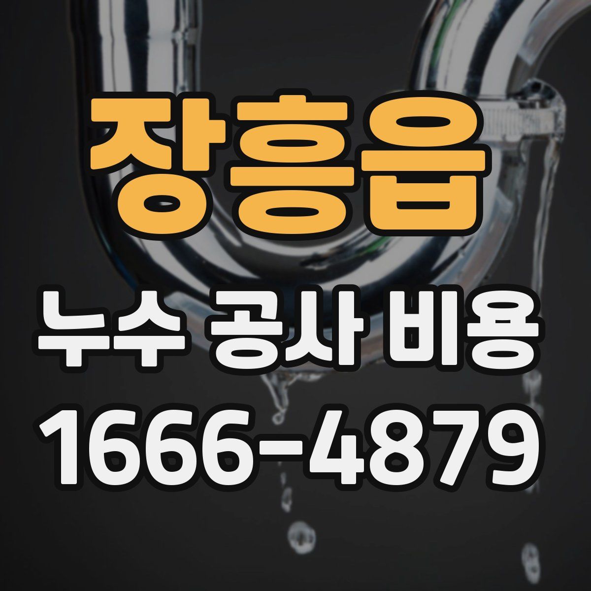 장흥읍 누수 공사 비용