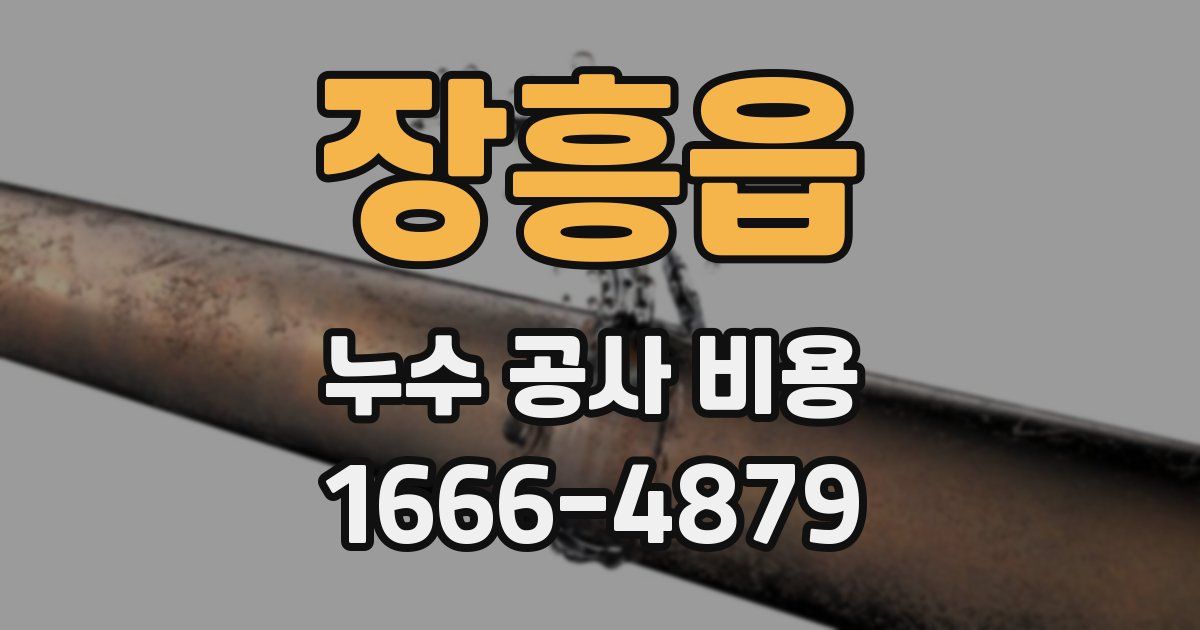 장흥읍 누수 공사 비용