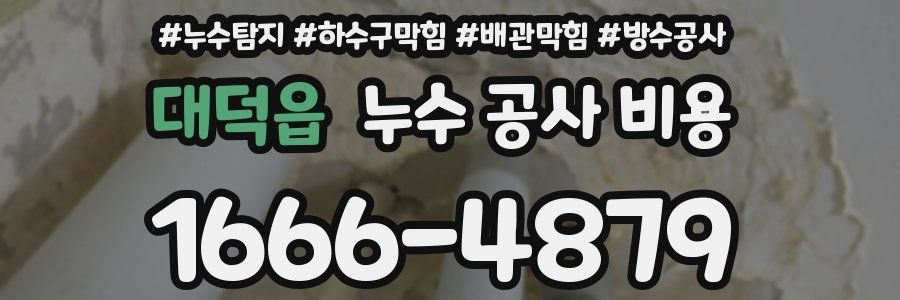 대덕읍 누수 공사 비용