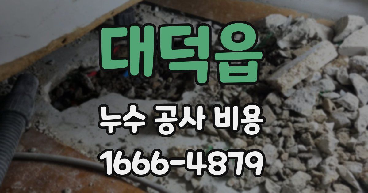 대덕읍 누수 공사 비용