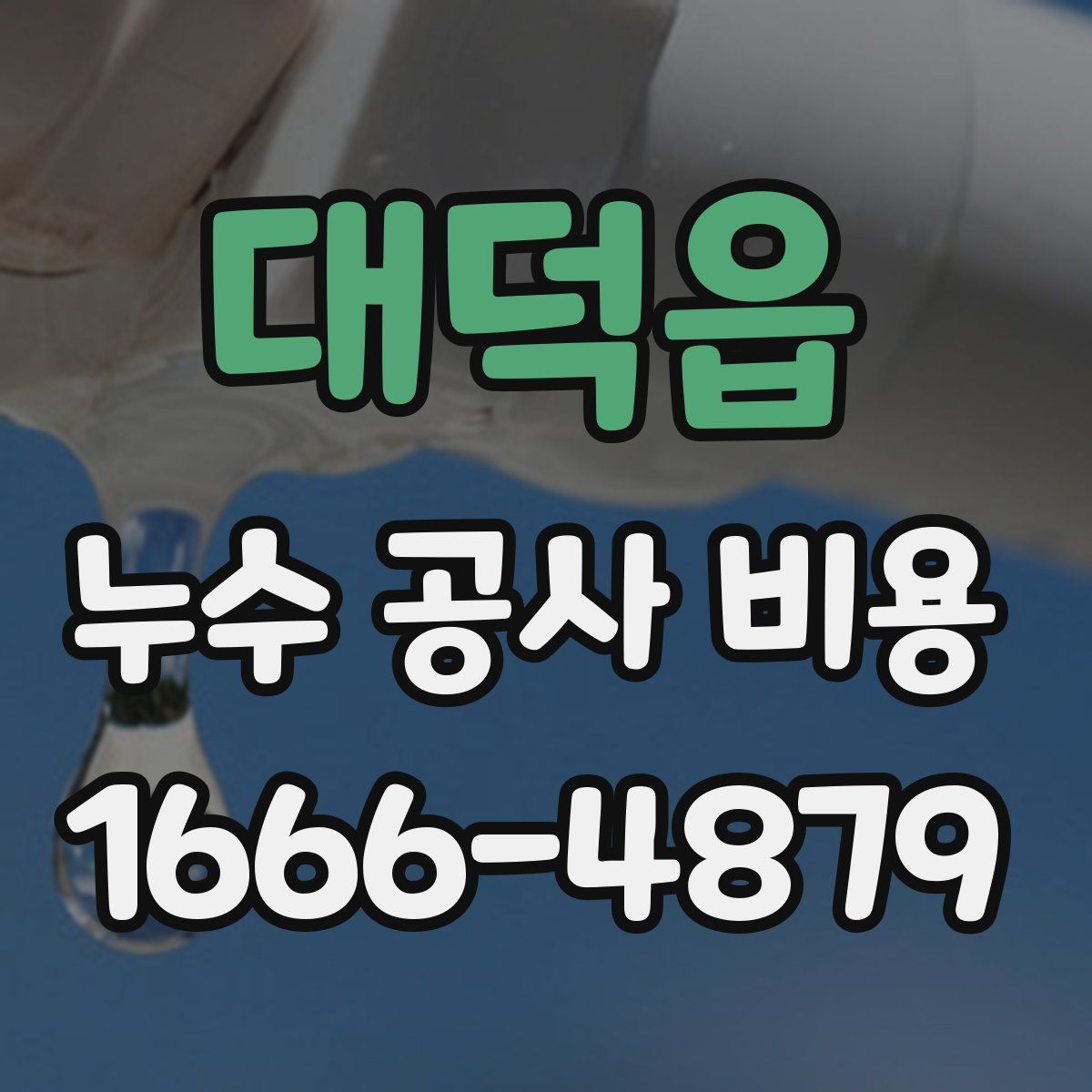 대덕읍 누수 공사 비용