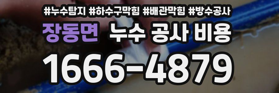 장동면 누수 공사 비용