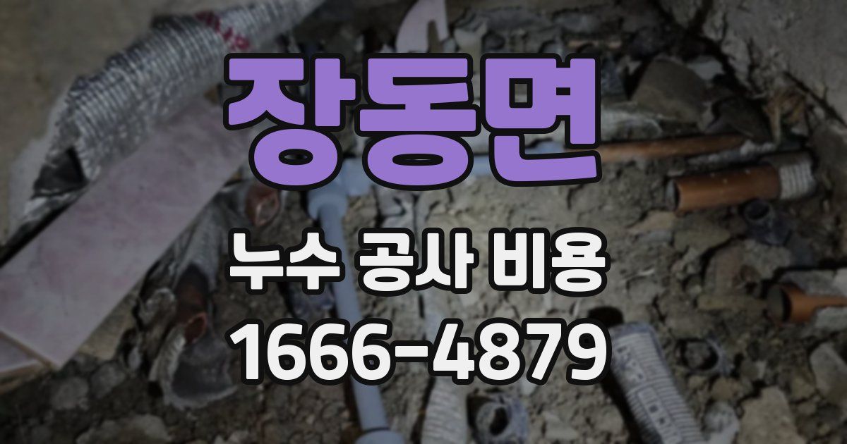 장동면 누수 공사 비용