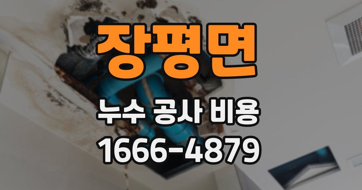 장평면 누수 공사 비용