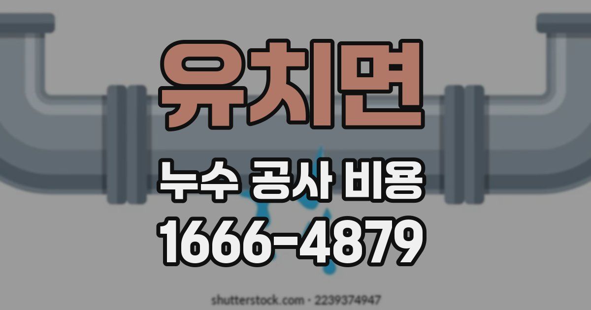 유치면 누수 공사 비용