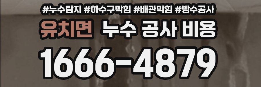 유치면 누수 공사 비용