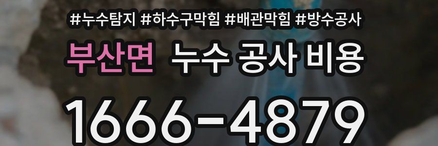 부산면 누수 공사 비용