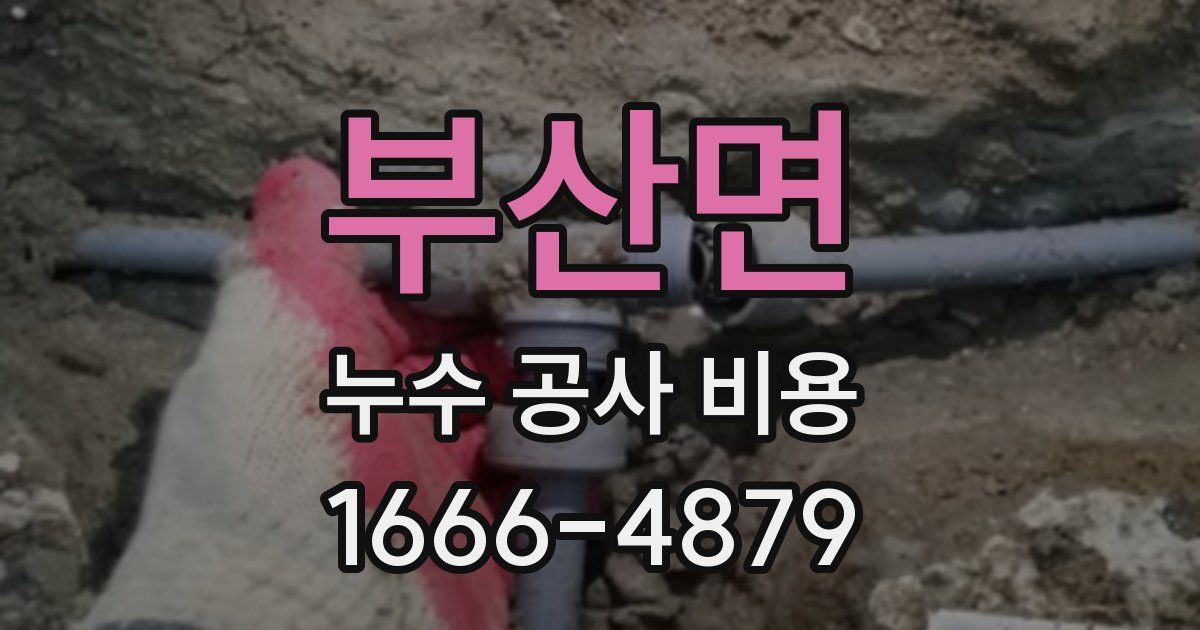 부산면 누수 공사 비용