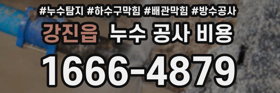 강진읍 누수 공사 비용