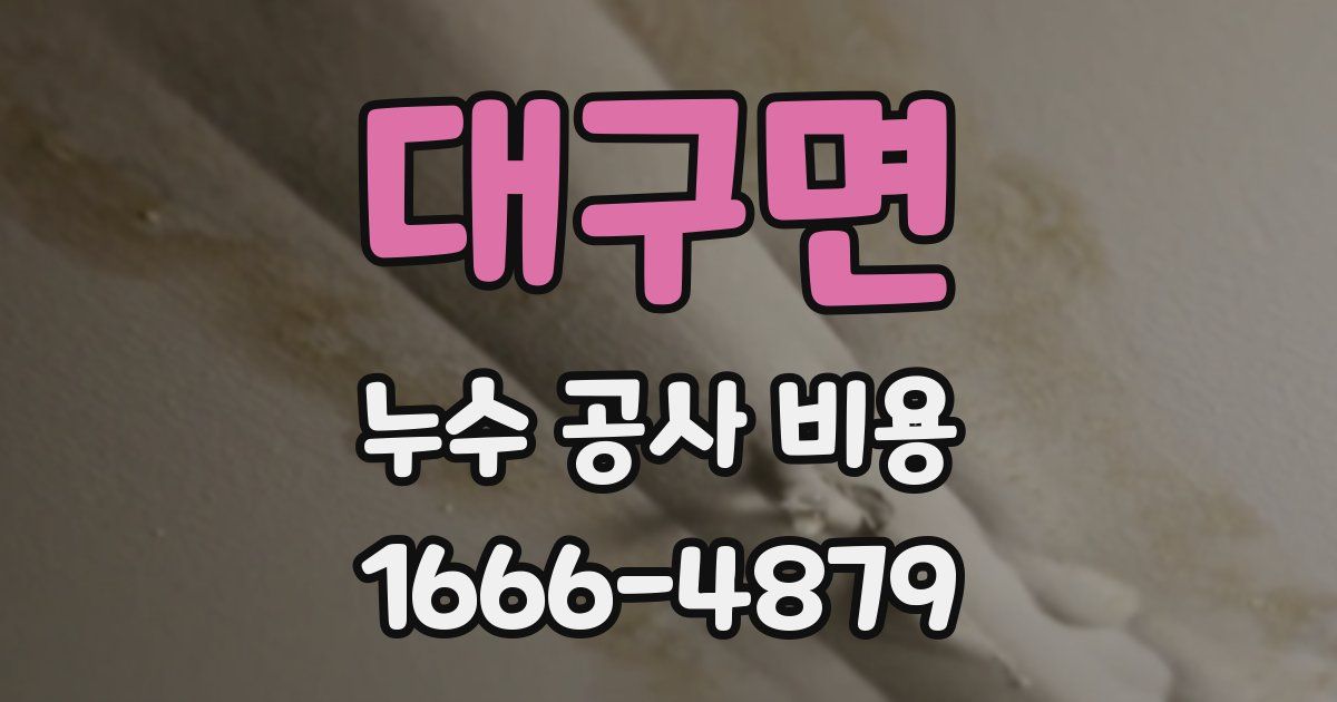 대구면 누수 공사 비용