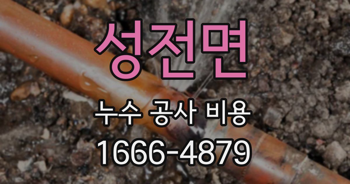 성전면 누수 공사 비용