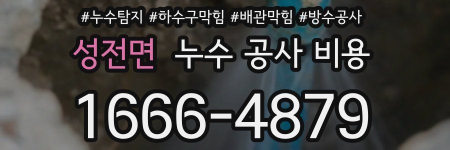 성전면 누수 공사 비용
