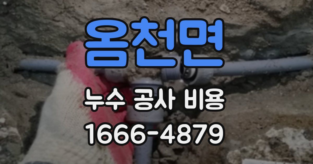 옴천면 누수 공사 비용