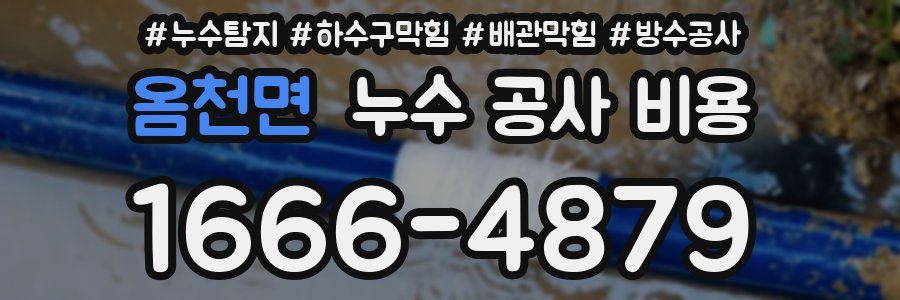 옴천면 누수 공사 비용