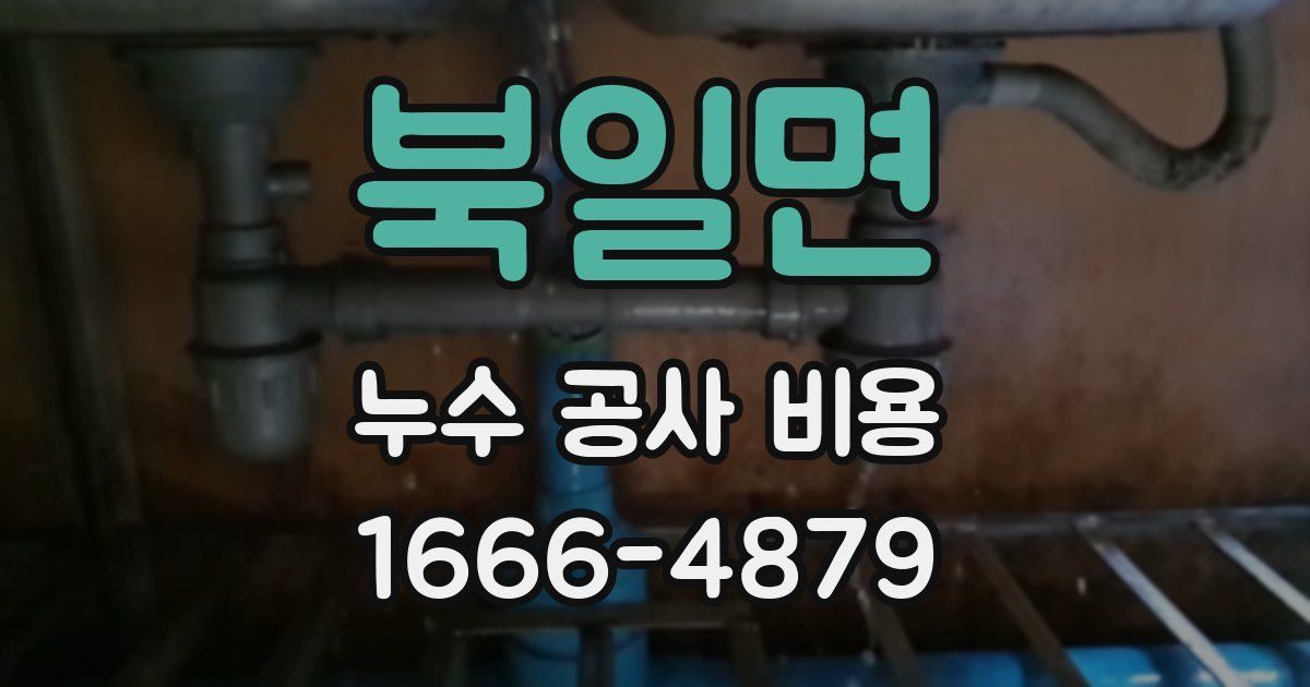 북일면 누수 공사 비용