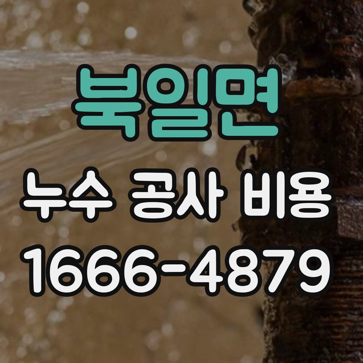 북일면 누수 공사 비용