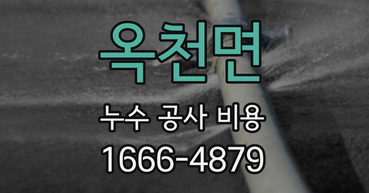 옥천면 누수 공사 비용