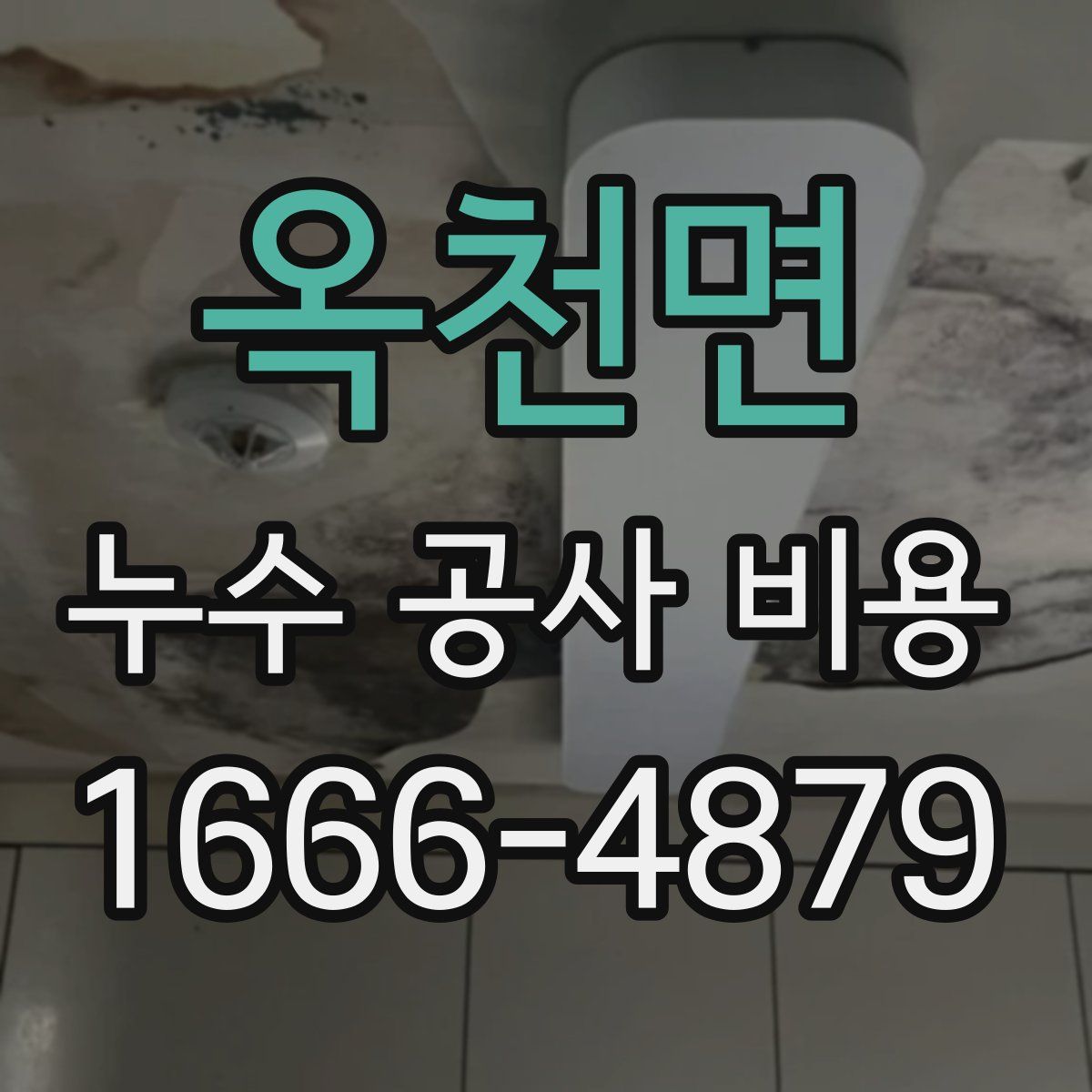옥천면 누수 공사 비용