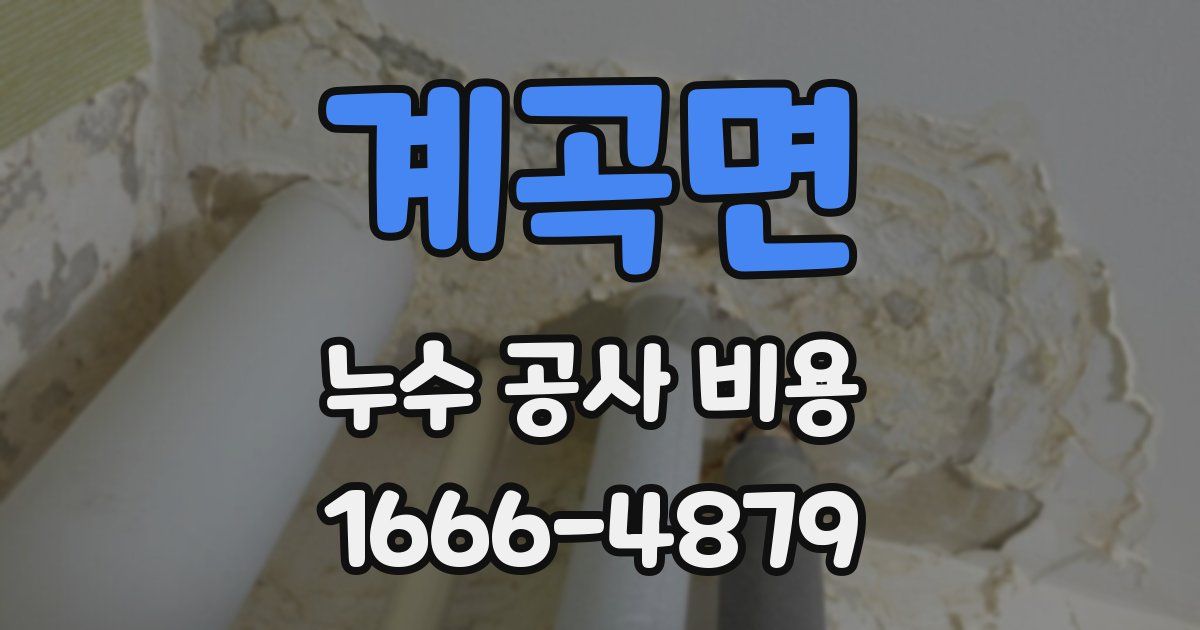 계곡면 누수 공사 비용