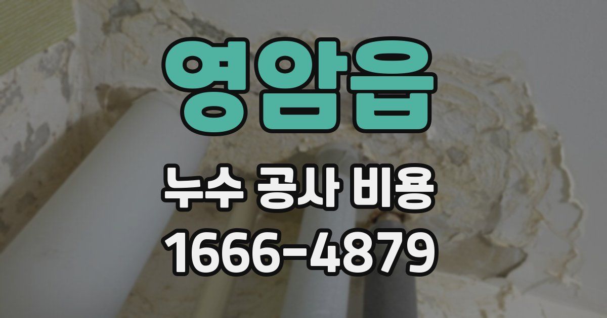 영암읍 누수 공사 비용