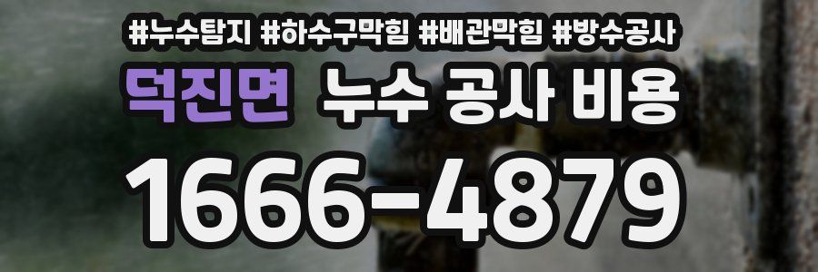 덕진면 누수 공사 비용