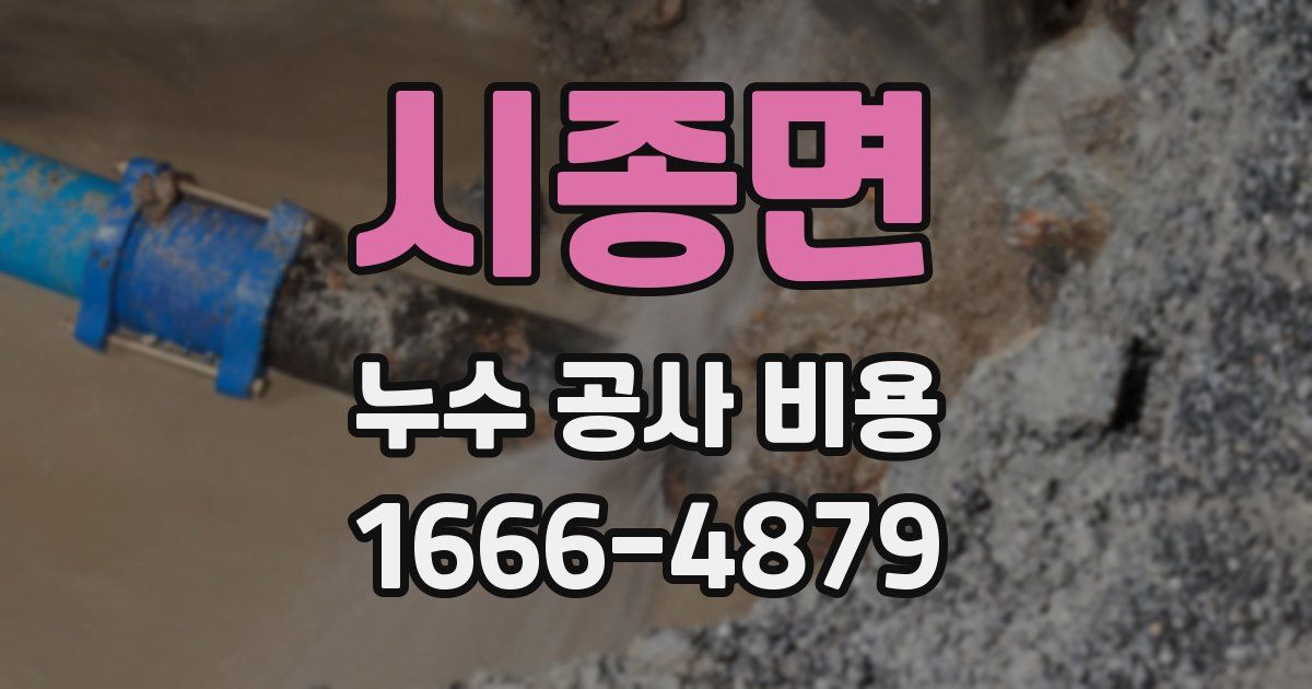 시종면 누수 공사 비용