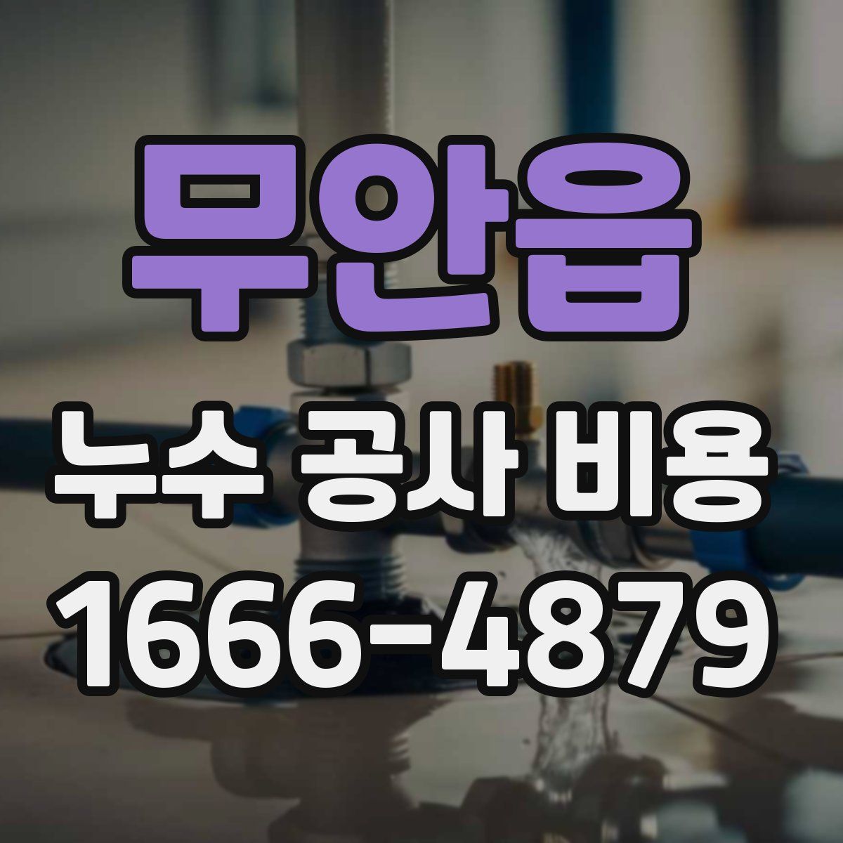 무안읍 누수 공사 비용