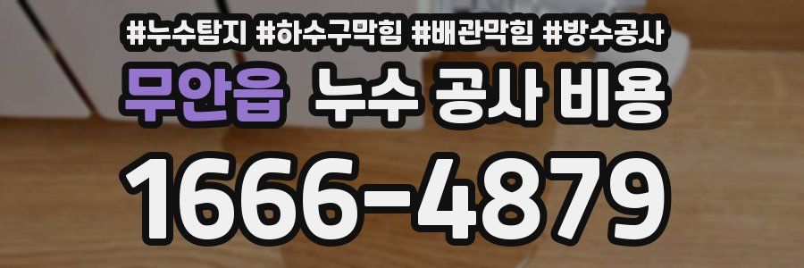 무안읍 누수 공사 비용
