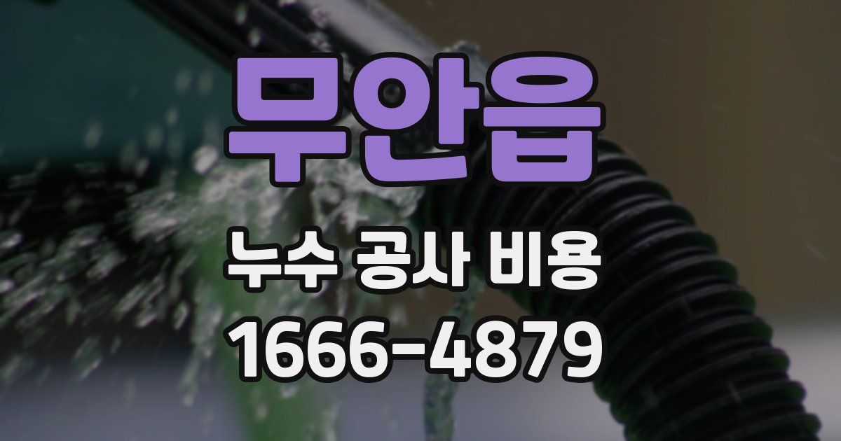 무안읍 누수 공사 비용
