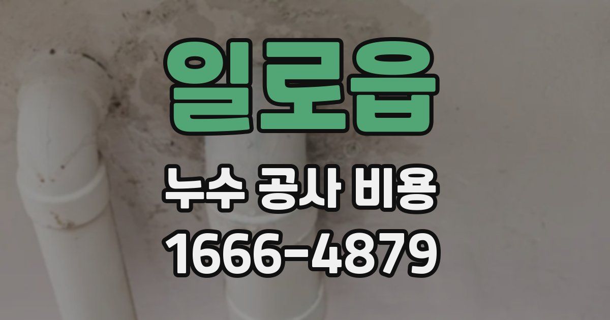 일로읍 누수 공사 비용