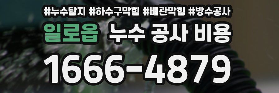 일로읍 누수 공사 비용