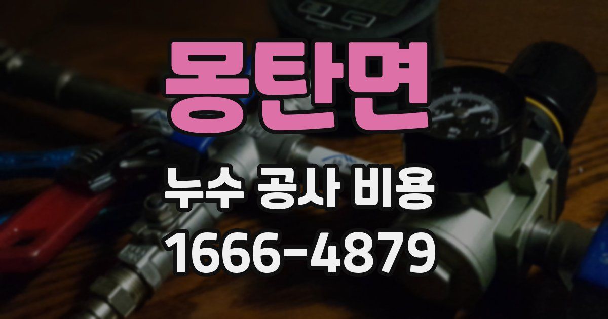 몽탄면 누수 공사 비용