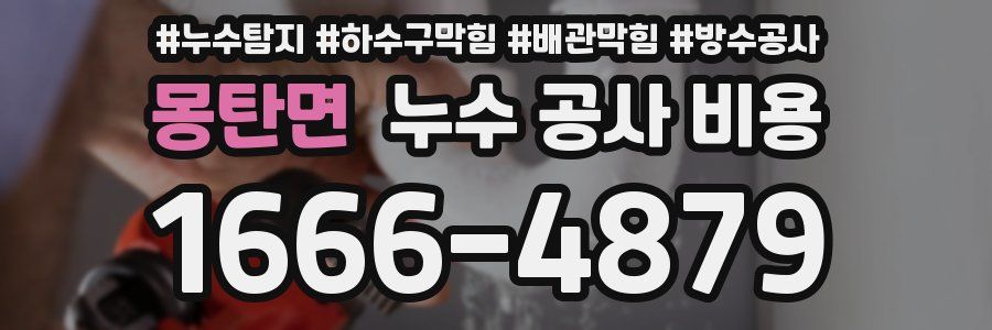 몽탄면 누수 공사 비용