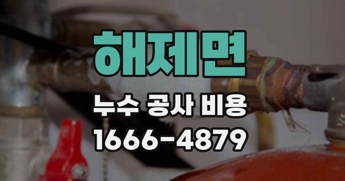 해제면 누수 공사 비용