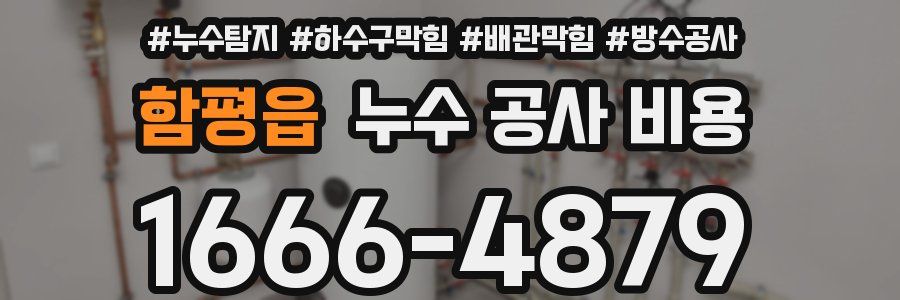 함평읍 누수 공사 비용